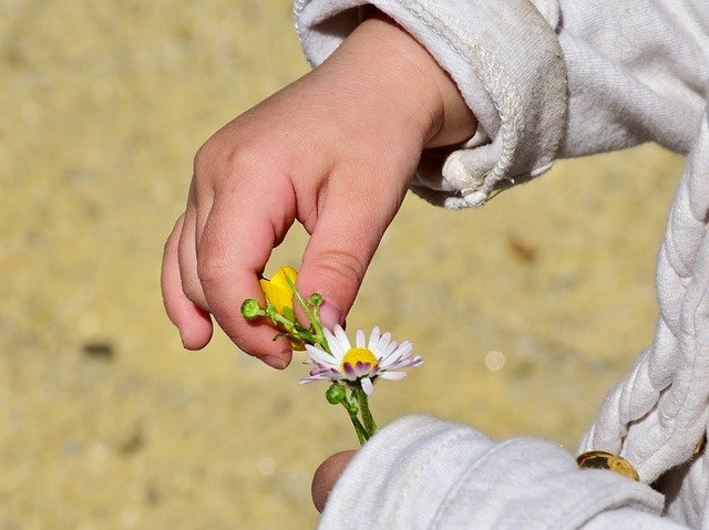 お花を持つかわいい子供の手
