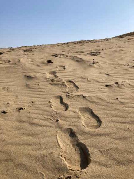 砂の上の足跡