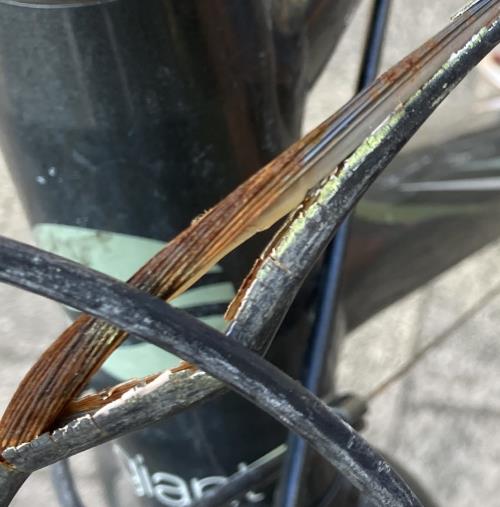 サビたシフトワイヤー