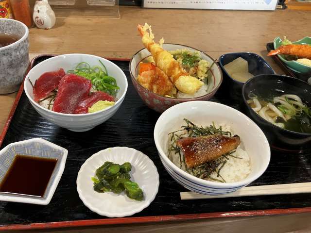 三色ミニ丼定食